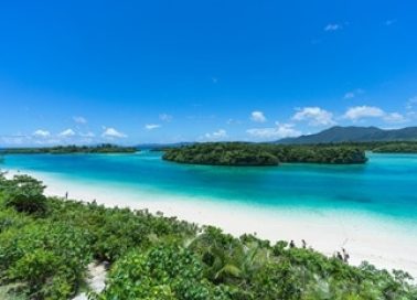 OST14A