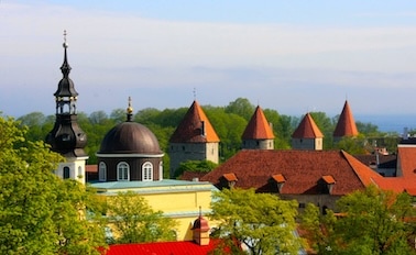 Strona główna